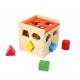 Cubo Educativo para Encaixe - Tooky Toy - Motricidade